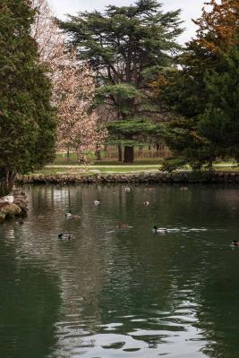 Прикрепленное изображение: jPlfPL0JsQ0.jpg